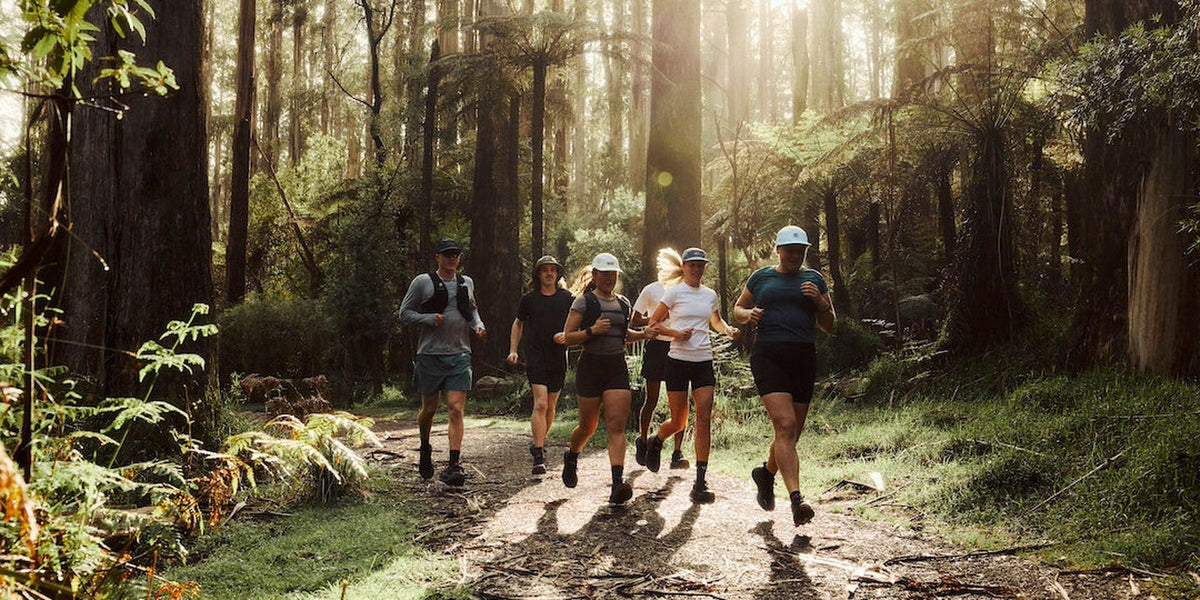 Group of runners in Fractel trail running hats and caps on a sunlit forest trail