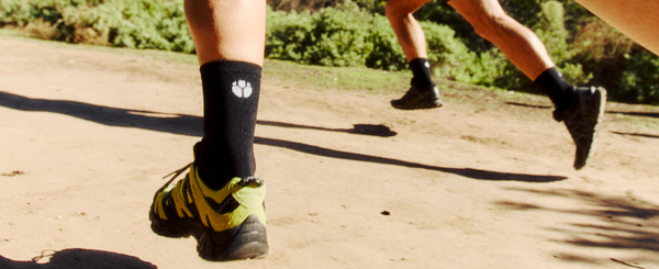 Fractel womens running socks collection banner